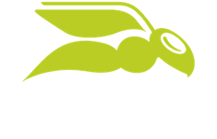 Logo de Hornetsecurity